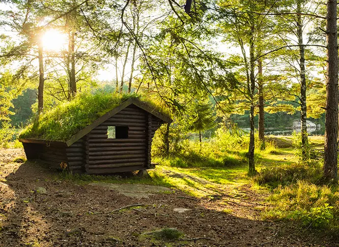 Vindskydd i en skogsdunge framför en sjö.