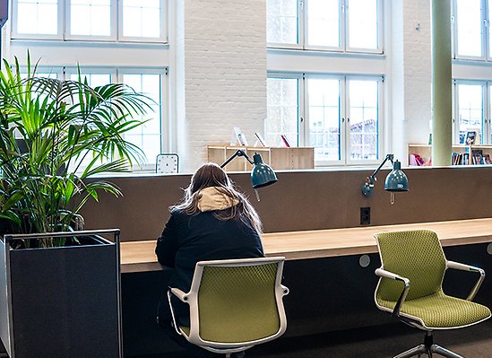 Elev sitter vid studieplats vid fönster.