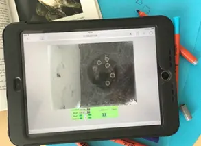 en bild på en fågelholk på en iPad