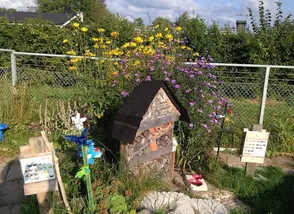 trädgård med blommor och insektshotell på förskola