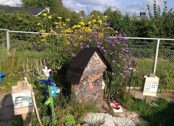 trädgård med blommor och insektshotell på förskola